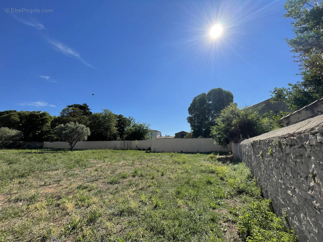 Terrain à MONTPELLIER