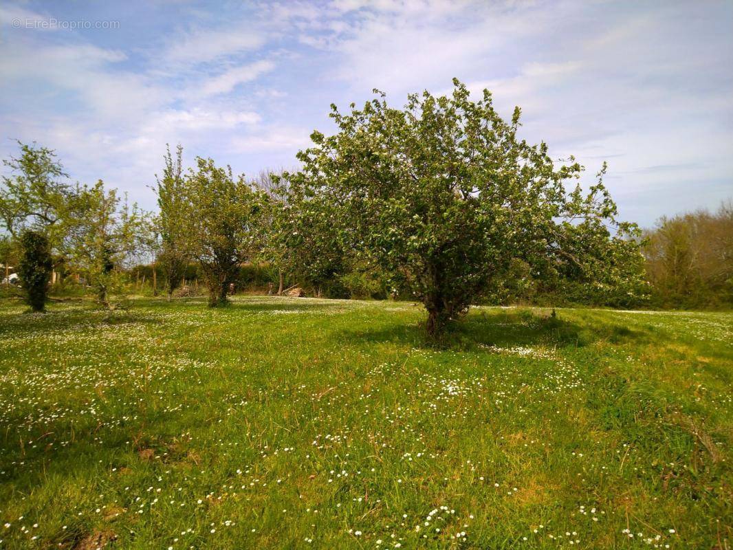 Terrain à CREON