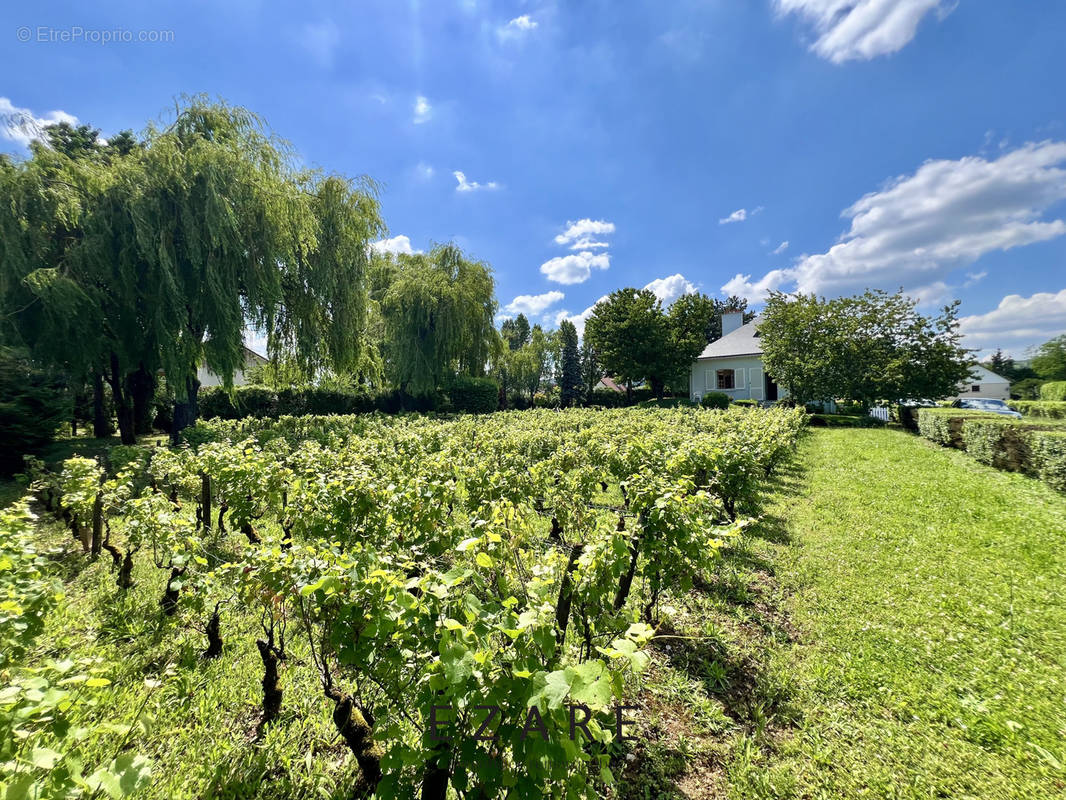 Maison à GEVREY-CHAMBERTIN