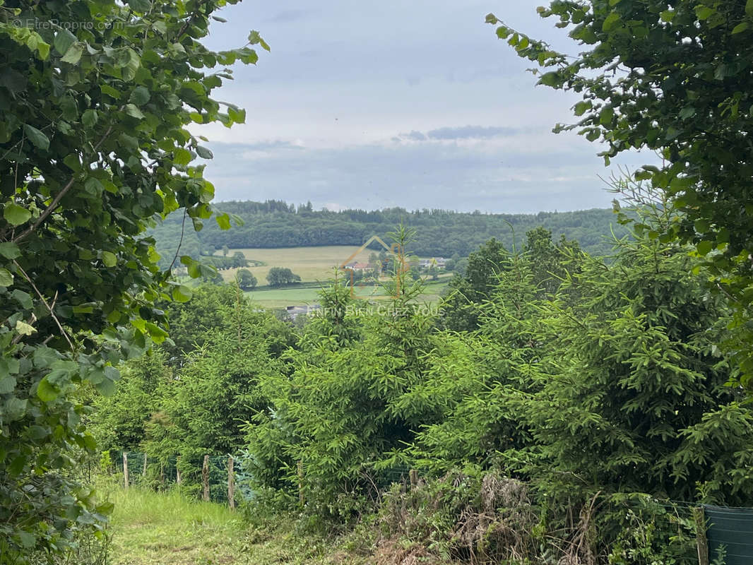 Terrain à BRASSY