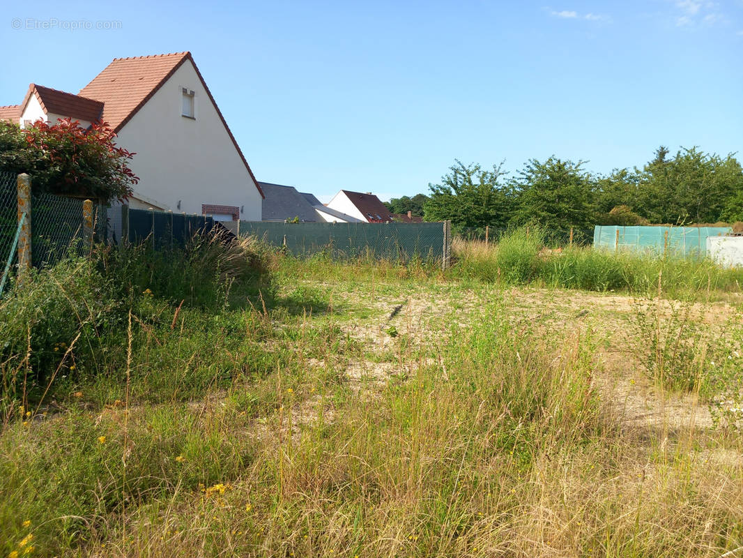 Terrain à VILLERMAIN