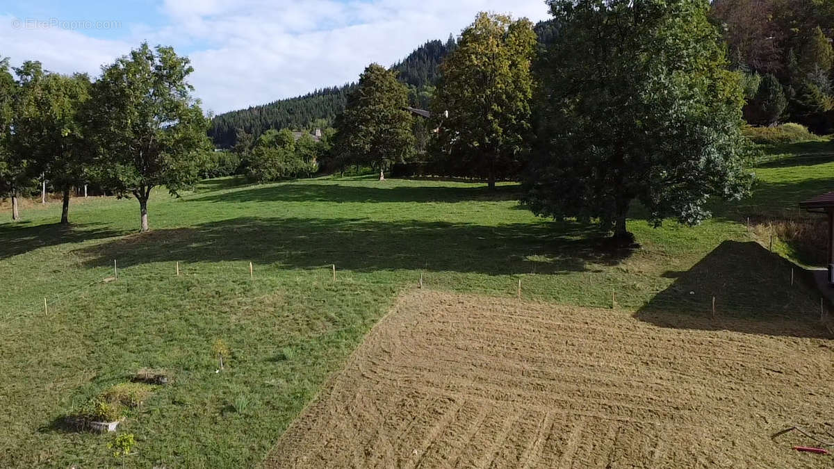 Terrain à SAINT-JEAN-DE-SIXT