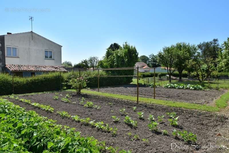 Maison à AIGREFEUILLE-D&#039;AUNIS