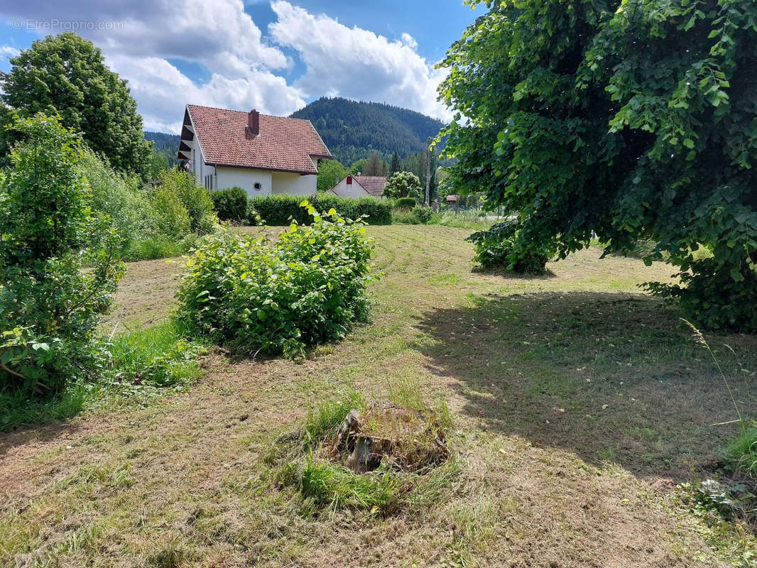 Maison à SAINT-MICHEL-SUR-MEURTHE