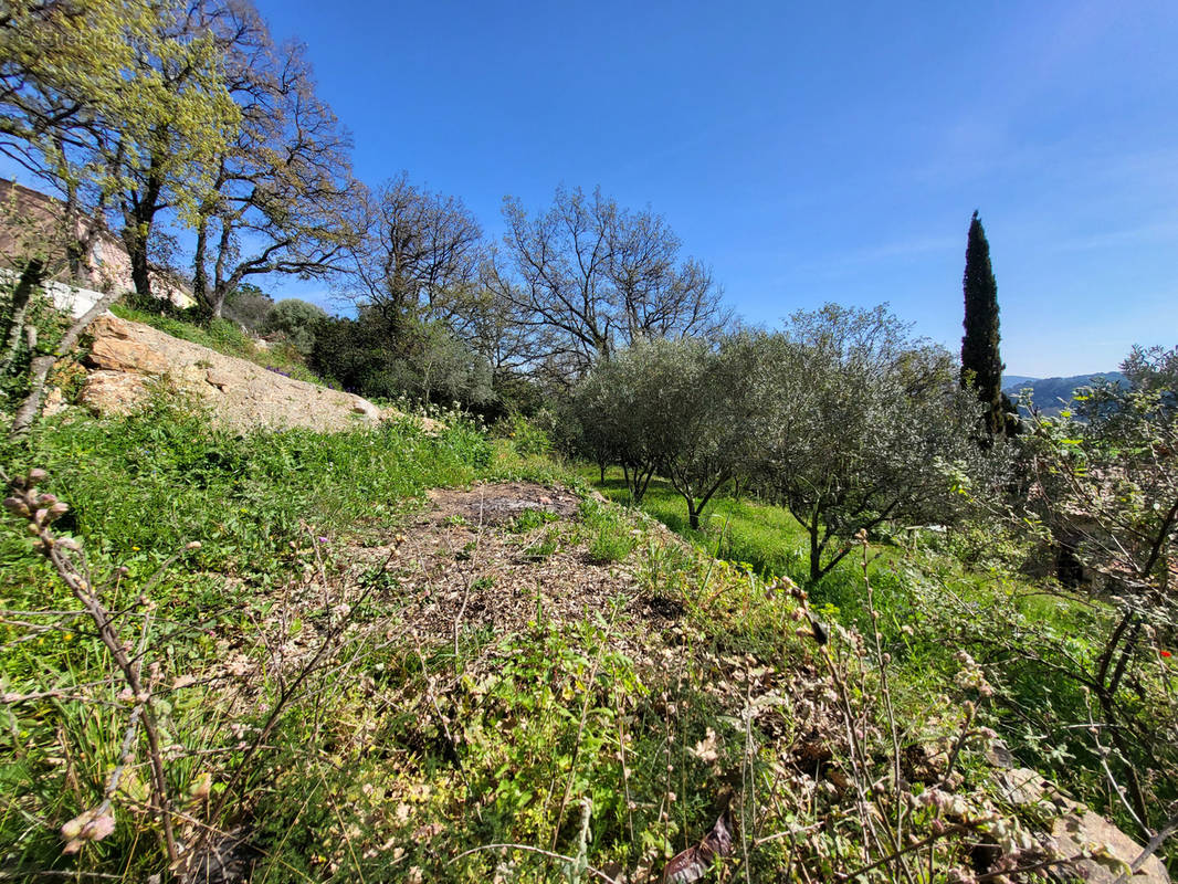 Terrain à PIERREFEU-DU-VAR