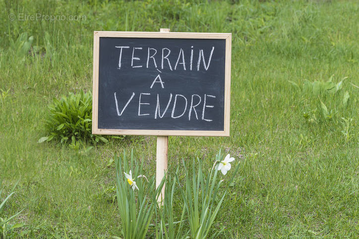 Terrain à SAINT-GEORGES-SUR-LOIRE