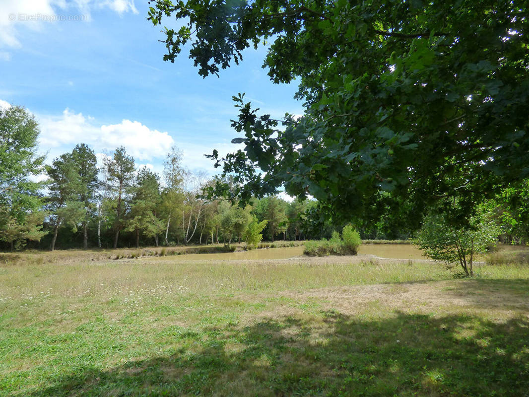 Terrain à FAY-AUX-LOGES