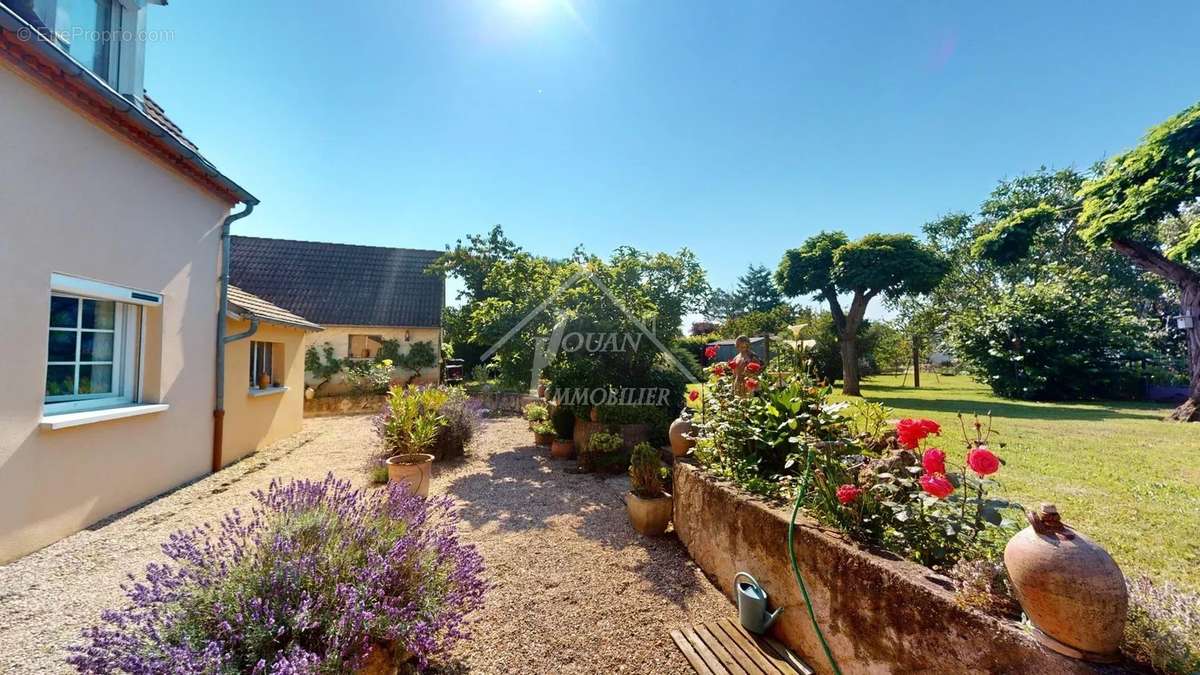 Maison à TOULON-SUR-ALLIER