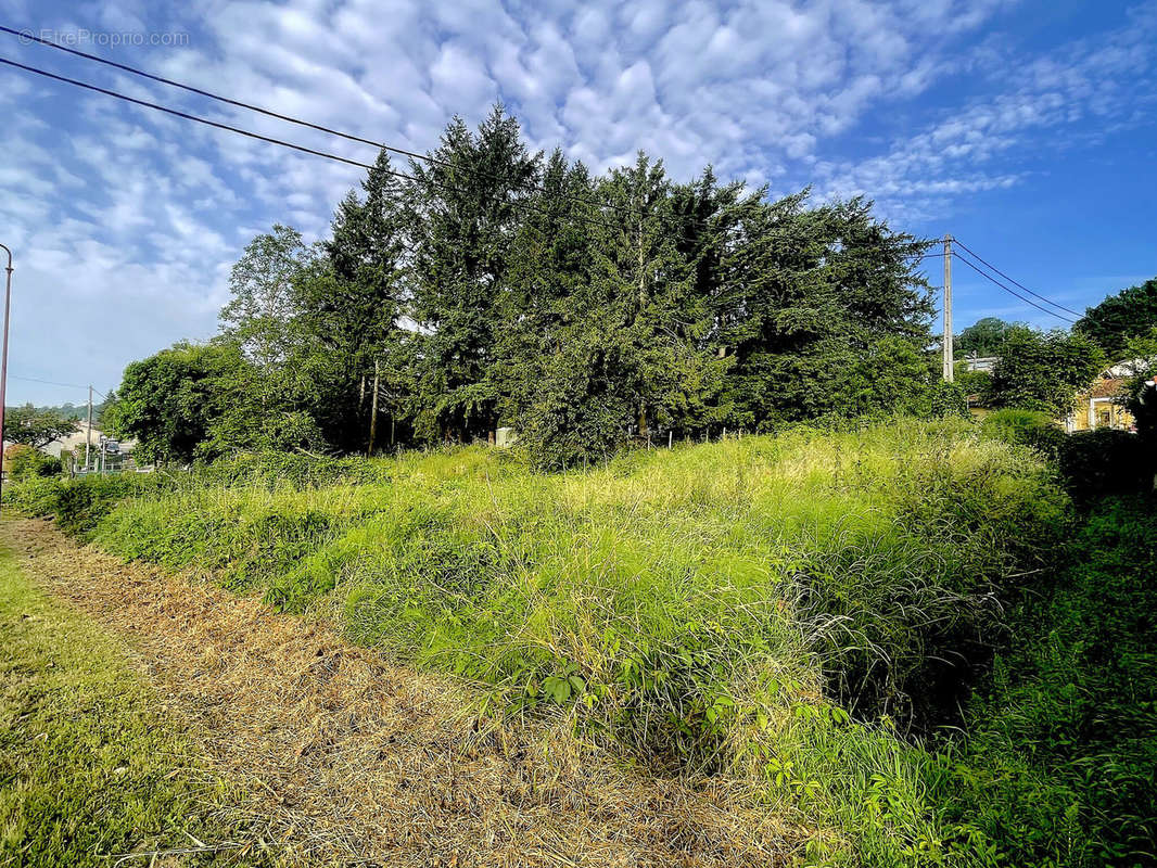 Terrain à CHATILLON-LA-PALUD