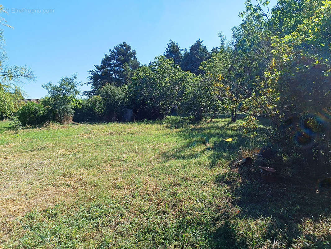 Terrain à CASTELNAUDARY