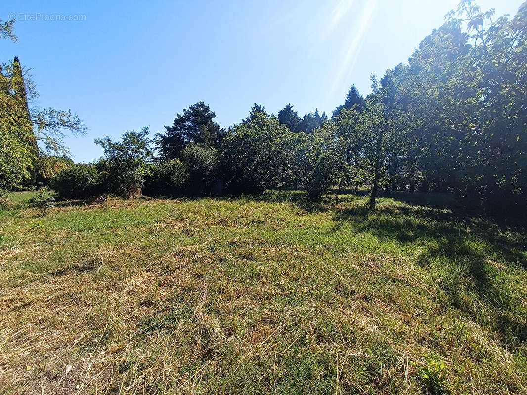 Terrain à CASTELNAUDARY