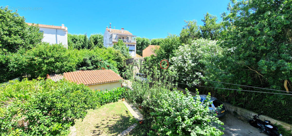 Appartement à BANYULS-SUR-MER