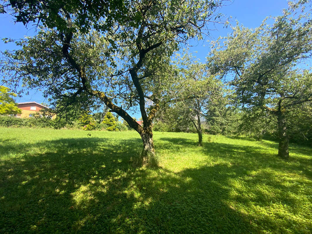 Terrain à LE BREUIL