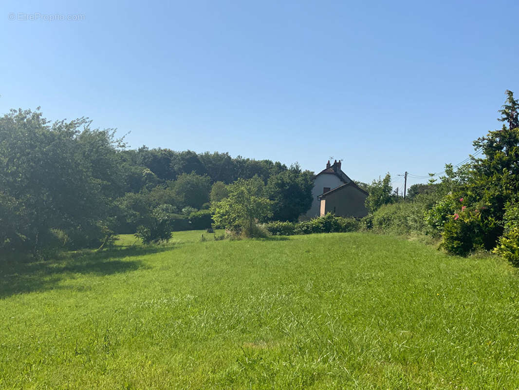 Terrain à LE BREUIL