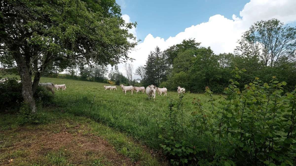 Maison à OUROUX-EN-MORVAN