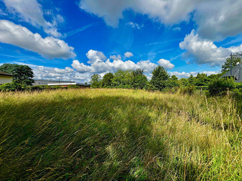 Terrain à JEUMONT