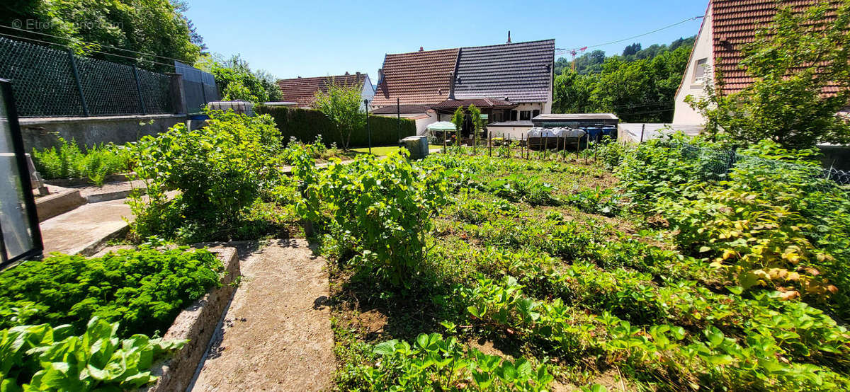 Maison à ARS-SUR-MOSELLE