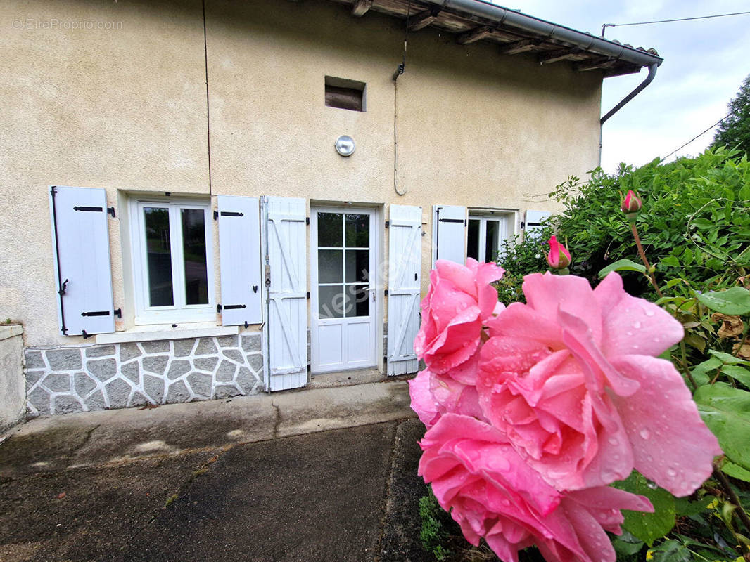 Maison à PIEGUT-PLUVIERS