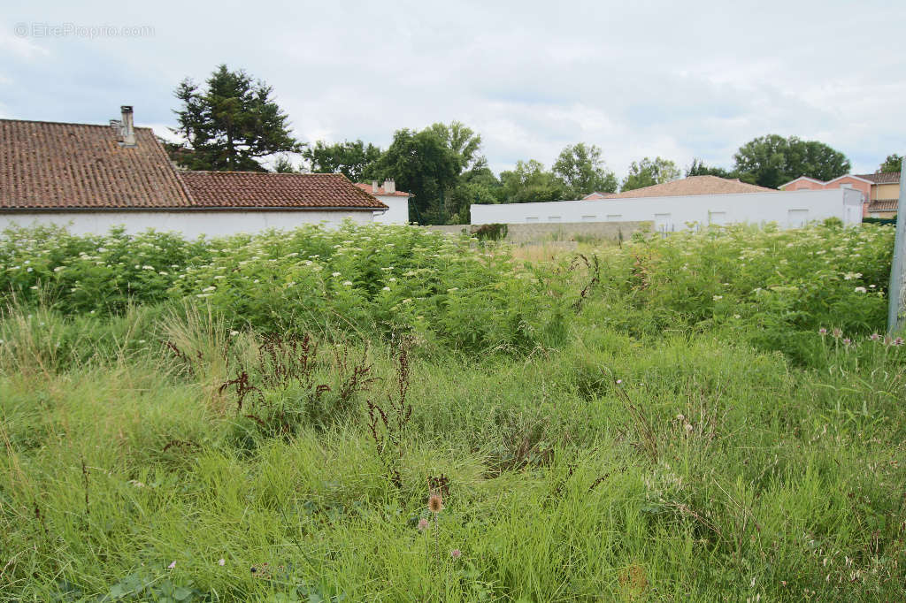 Terrain à VILLENEUVE-SUR-LOT