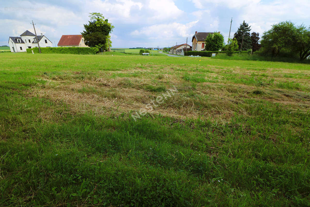 Terrain à AMIFONTAINE