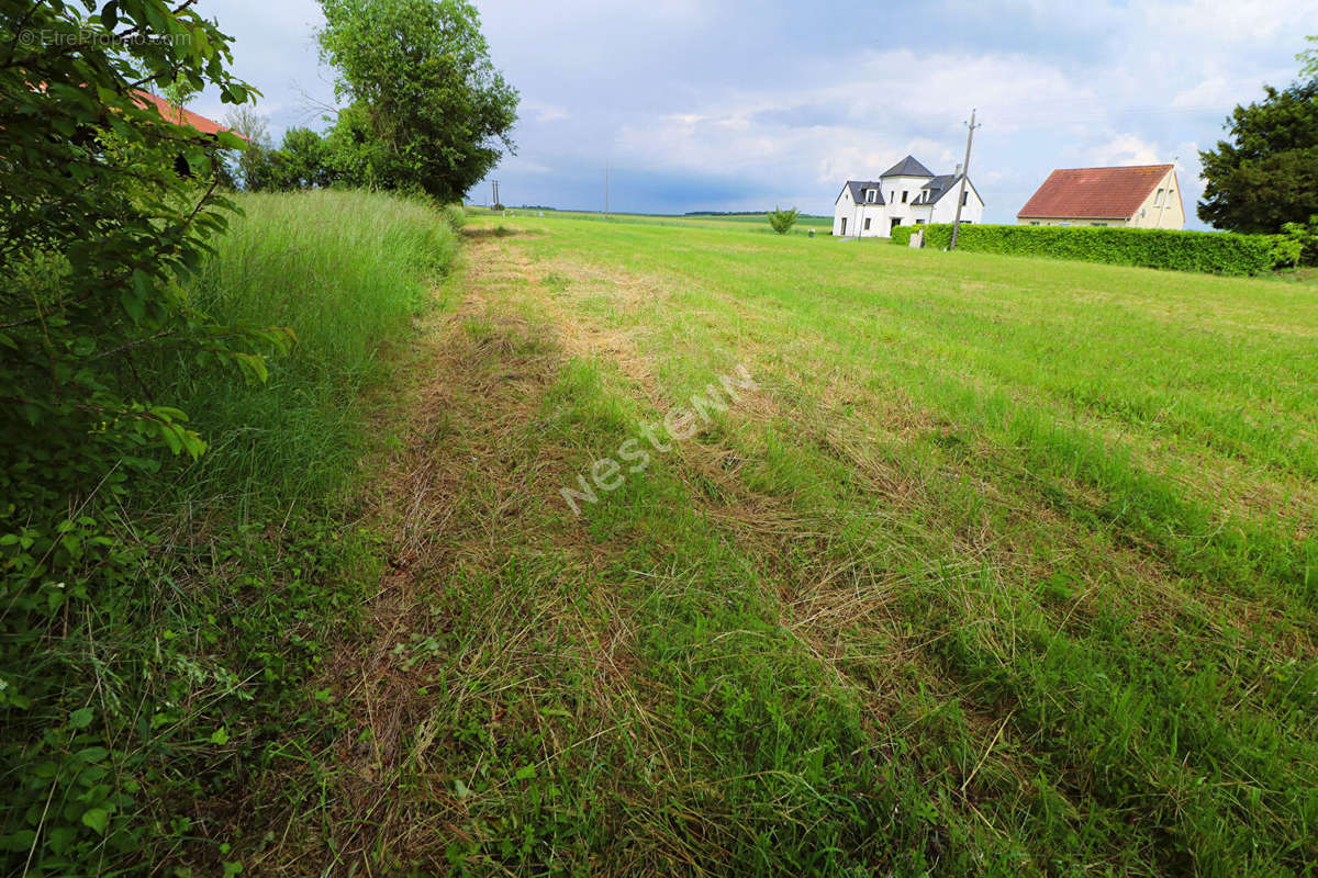 Terrain à AMIFONTAINE