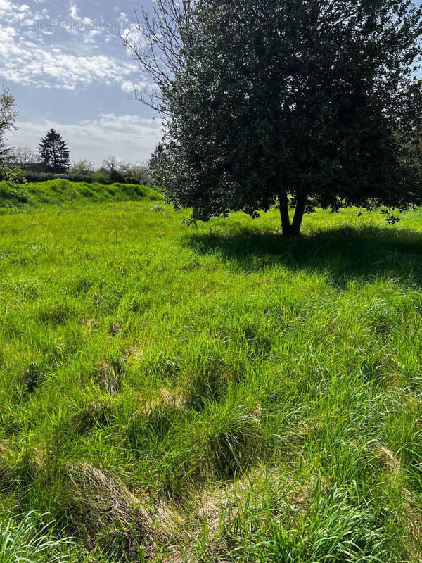 Terrain à SAINT-ERME-OUTRE-ET-RAMECOURT