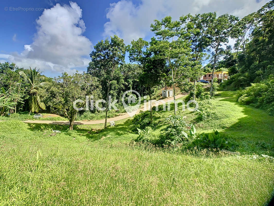 Terrain à SAINTE-LUCE