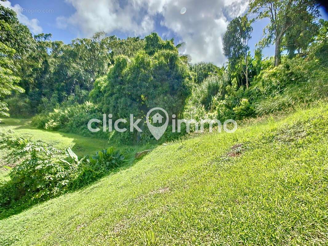 Terrain à SAINTE-LUCE