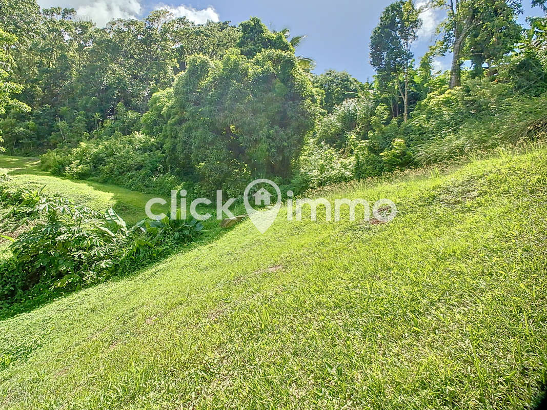 Terrain à SAINTE-LUCE