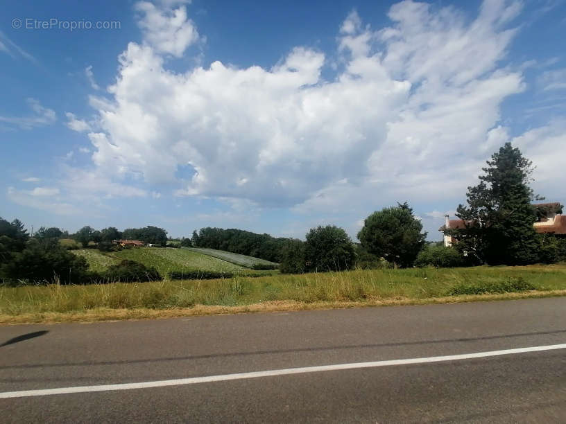 Terrain à MOISSAC