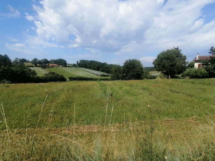 Terrain à MOISSAC