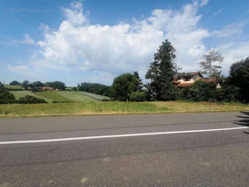 Terrain à MOISSAC