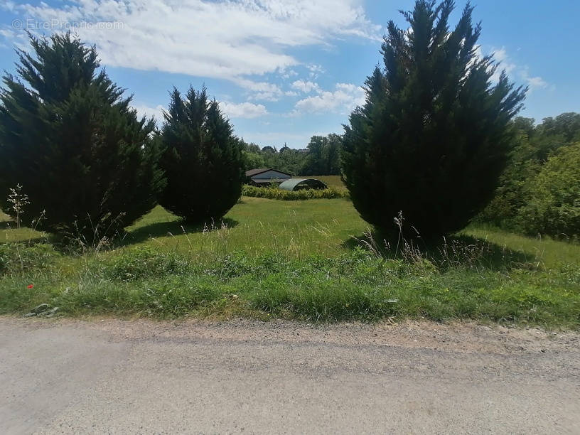 Terrain à MOISSAC