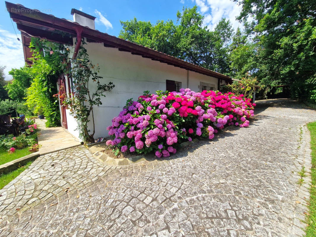 Maison à USTARITZ