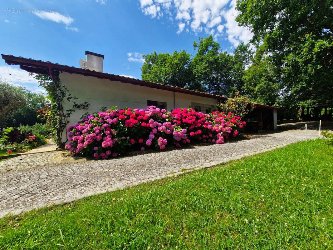 Maison à USTARITZ