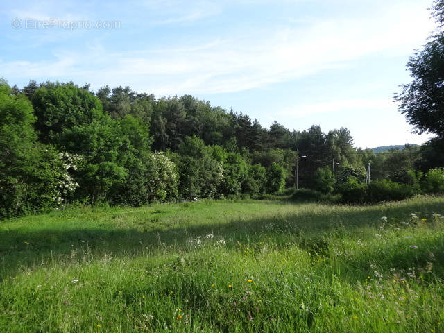 Terrain à SAINT-GENES-CHAMPANELLE