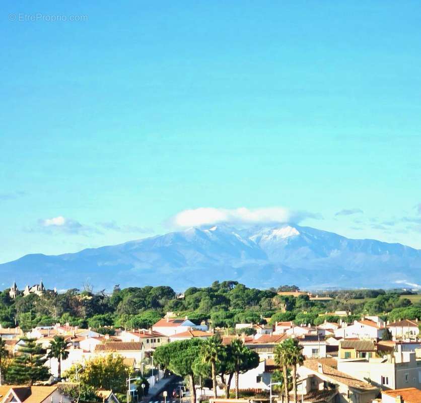 Photo 7 - Appartement à CANET-EN-ROUSSILLON