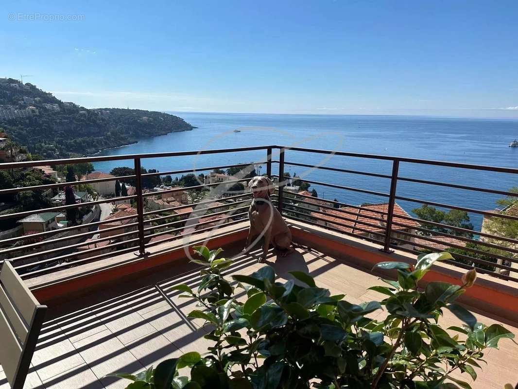 Appartement à ROQUEBRUNE-CAP-MARTIN