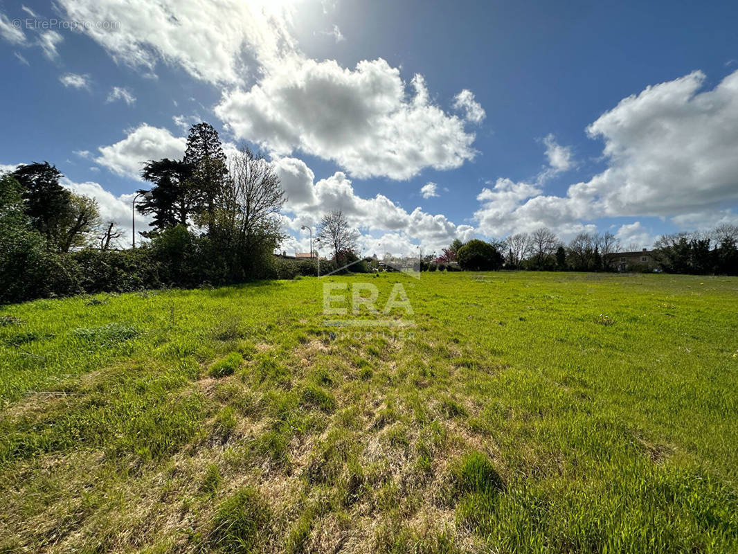 Terrain à CHAURAY