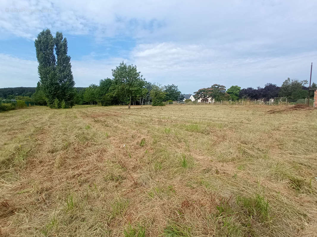 Terrain à MONTOIRE-SUR-LE-LOIR