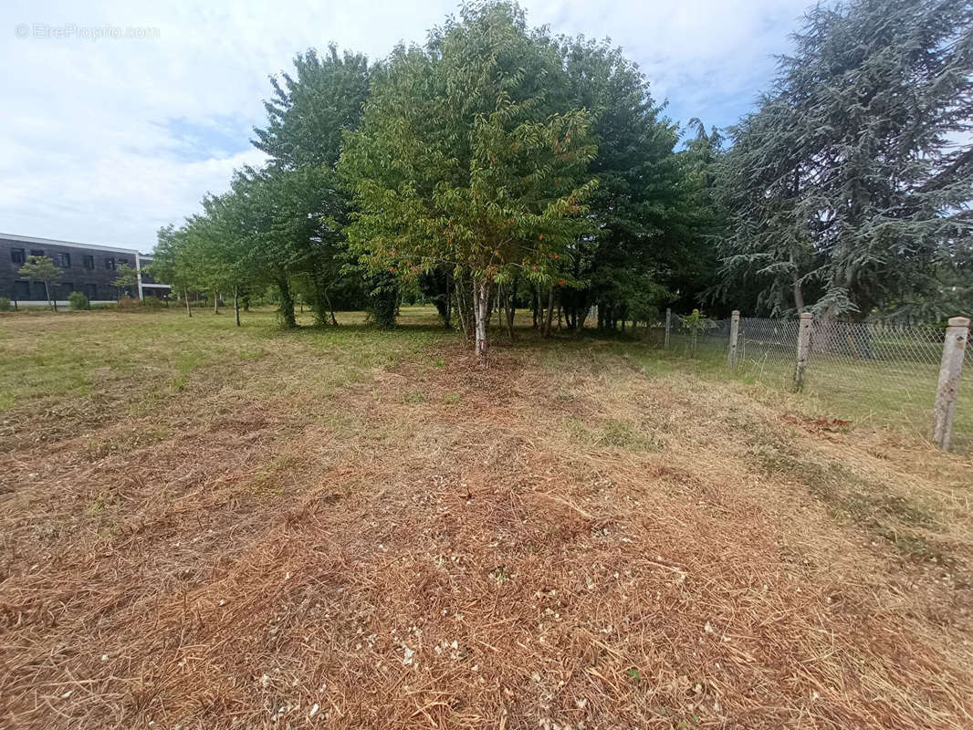 Terrain à MONTOIRE-SUR-LE-LOIR