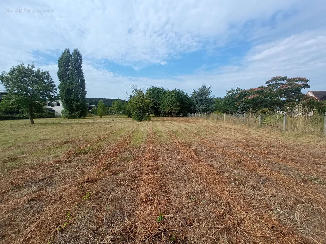 Terrain à MONTOIRE-SUR-LE-LOIR