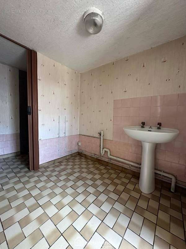 La salle de bains avec lavabo, wc et ... - Maison à MONCEAU-LE-NEUF-ET-FAUCOUZY