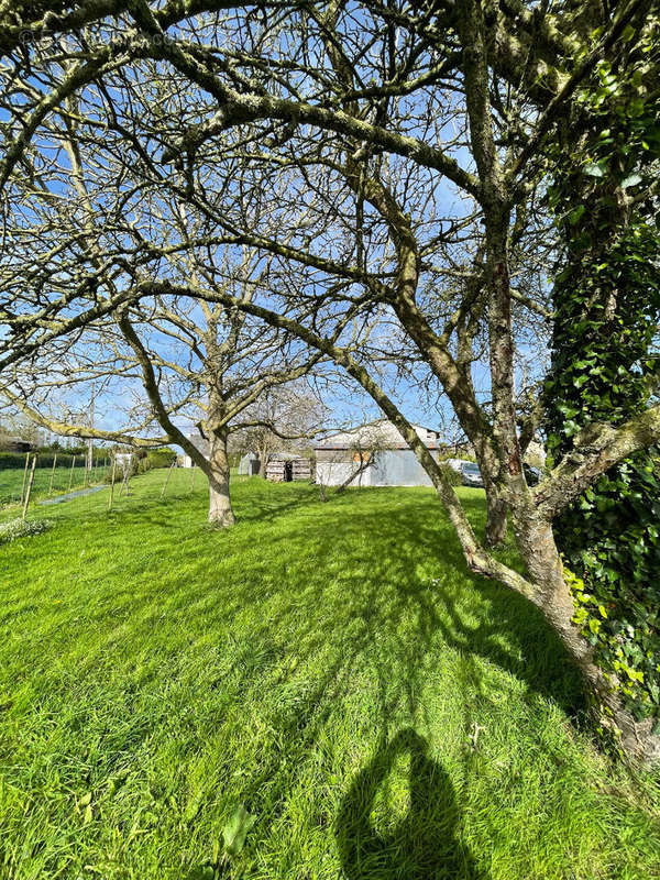 Terrain à LAMBALLE