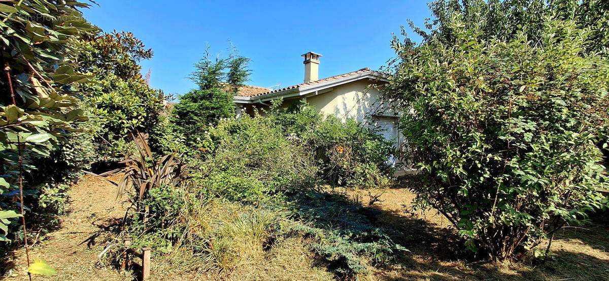 Maison à LEGE-CAP-FERRET