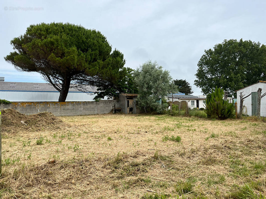 Terrain à SAINT-GEORGES-D&#039;OLERON