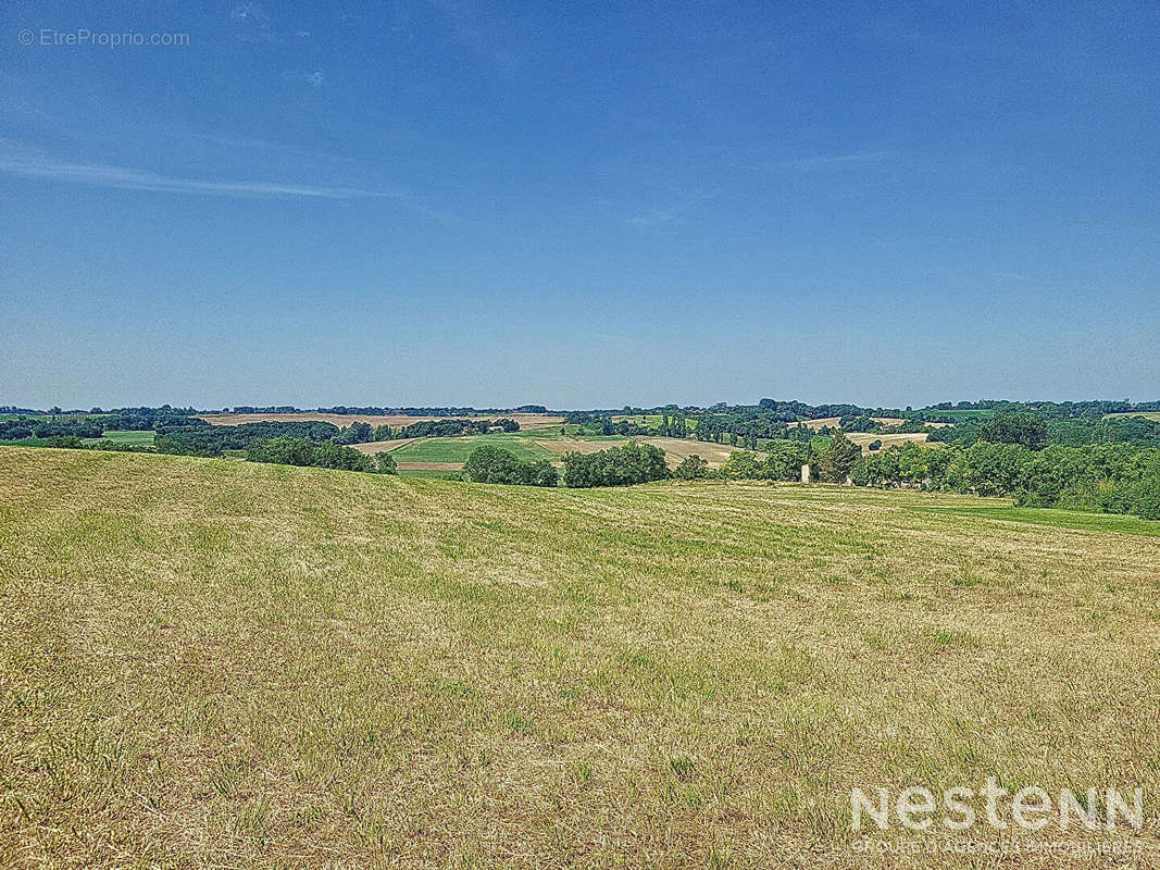 Terrain à CASTELNAU-SUR-L&#039;AUVIGNON