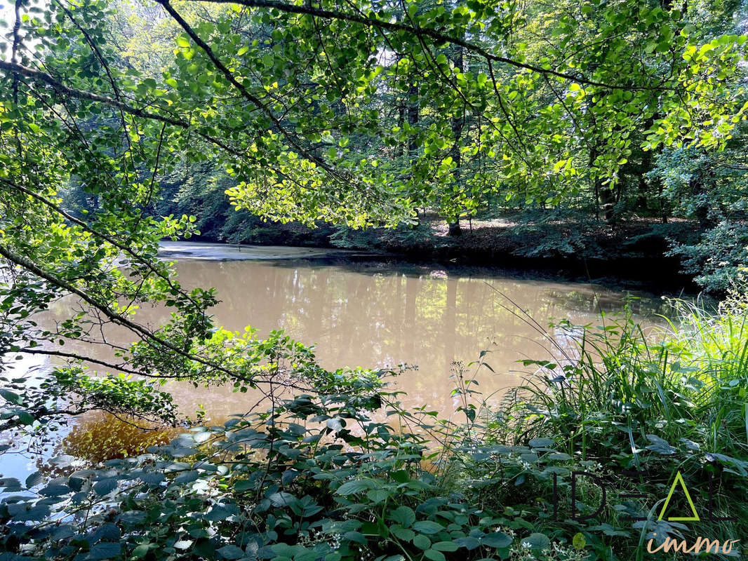 Terrain à ETEIMBES