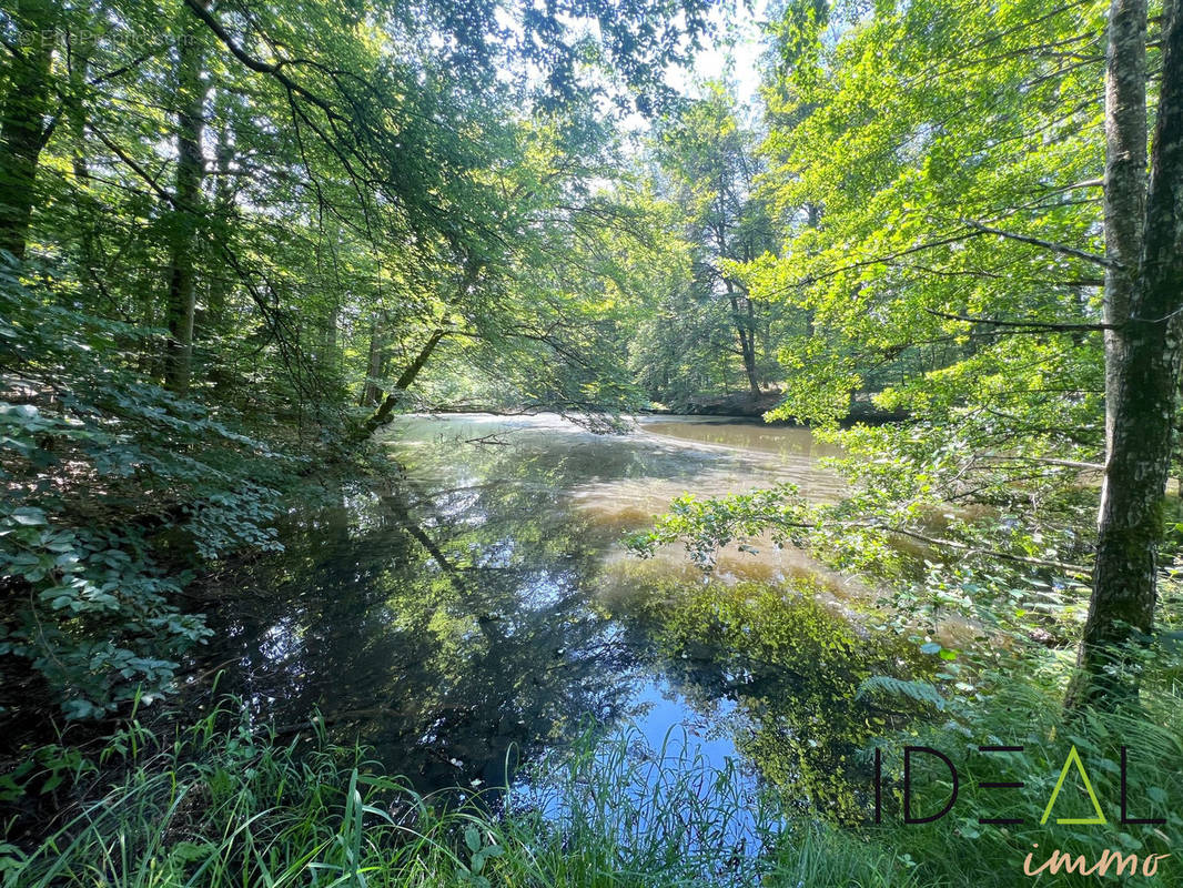 Terrain à ETEIMBES