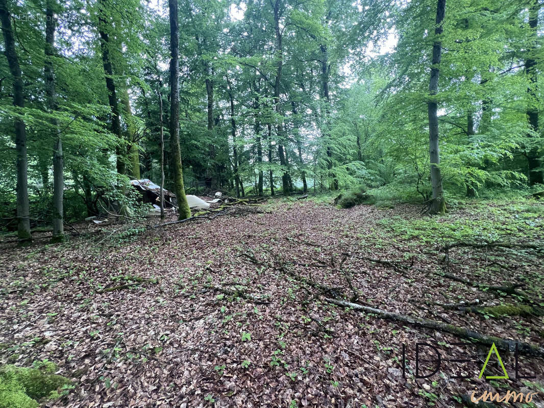 Terrain à ETEIMBES